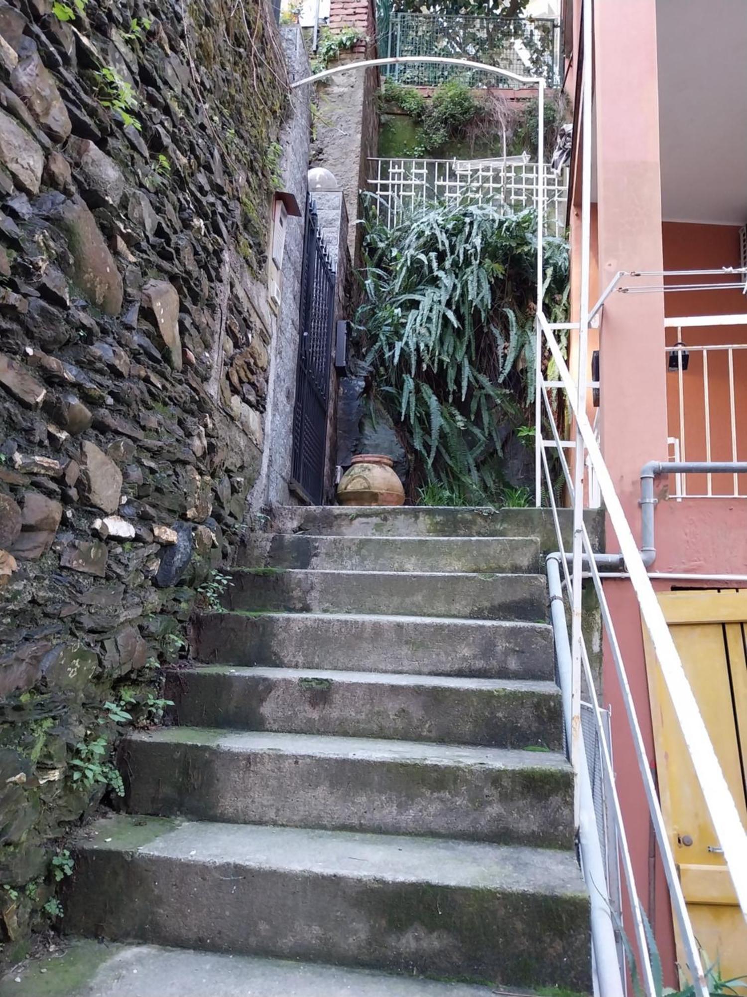 Casa Patrizia Daire Monterosso al Mare Dış mekan fotoğraf